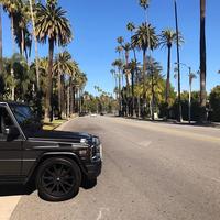 Отзыв от Станислав - DTV виза